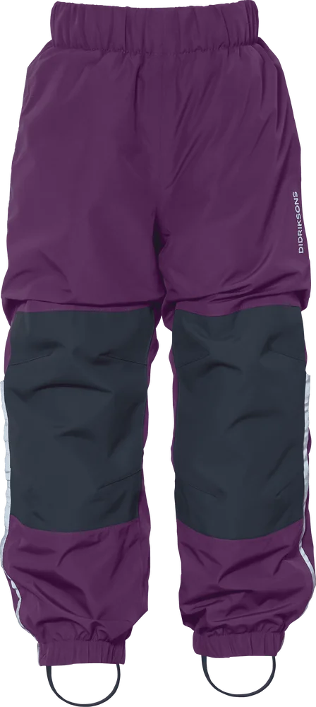 Didriksons Kids' Narvi Pants Northen Purple v:9836608