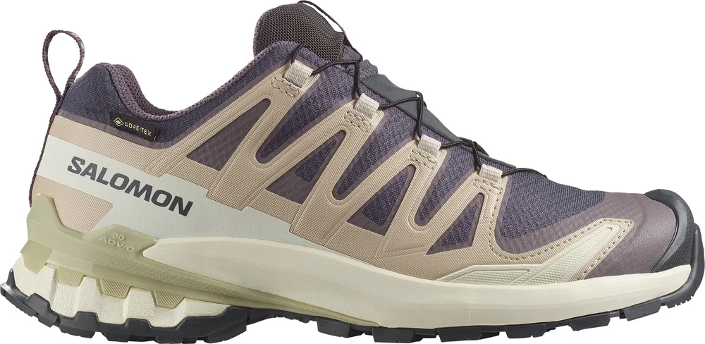 Salomon Women's XA Pro 3d V9 GORE-TEX Nine Iron/oxford Tan/alfalfa v:7380462