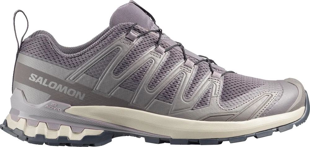 Salomon Men's XA Pro 3D V9 Dark Gull Gray/Cloudburst/Asphalt v:4994120