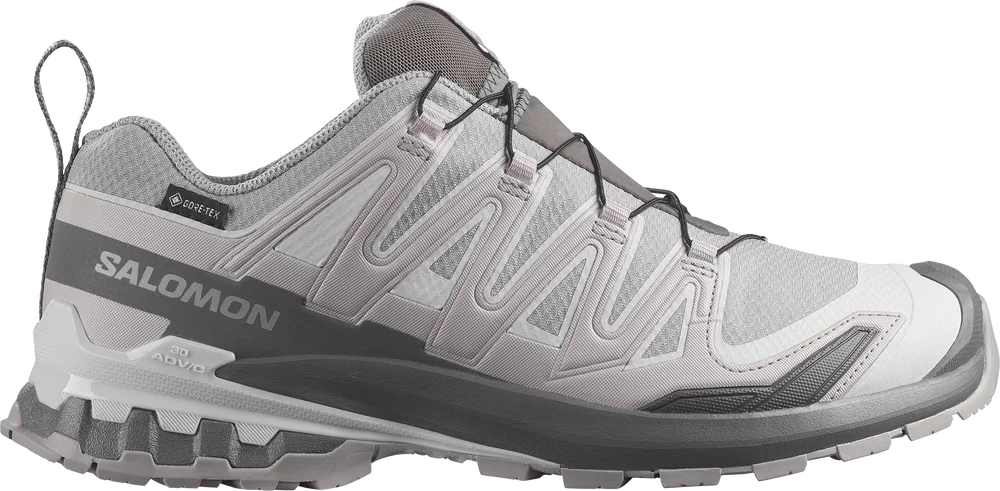 Salomon Men's XA 3D Pro V9 GORE-TEX Alloy / Castlerock / Lunar Rock v:1080877