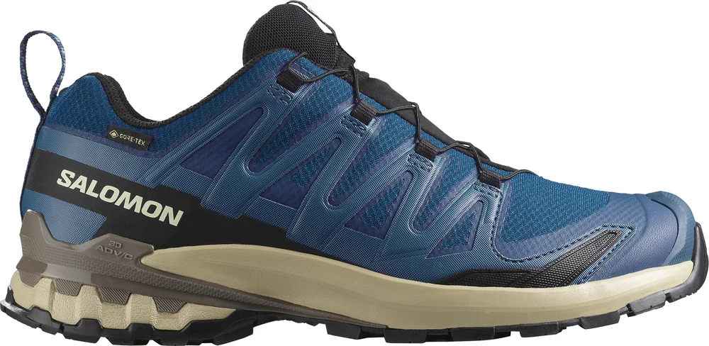 Salomon Men's XA 3D Pro V9 GORE-TEX Poseidon/white Pepper/falcon v:3989724