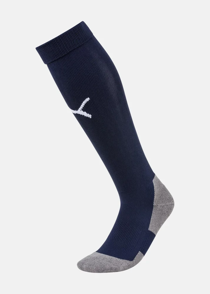 Team LIGA Socks CORE v:3717383