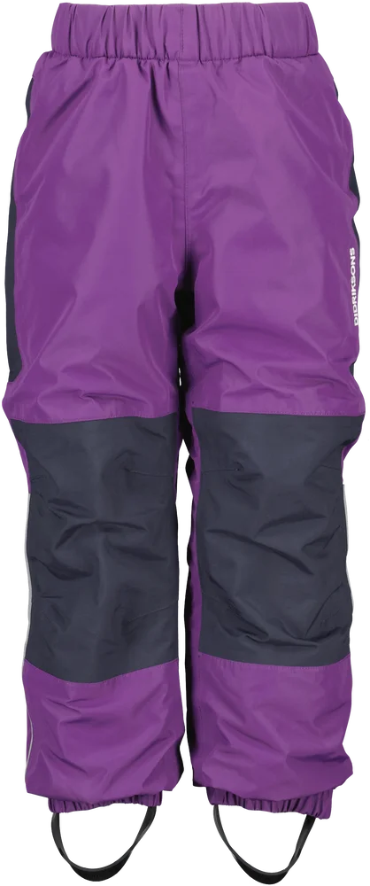 Didriksons Kids' Narvi Pant 2 Royal Purple v:6845130