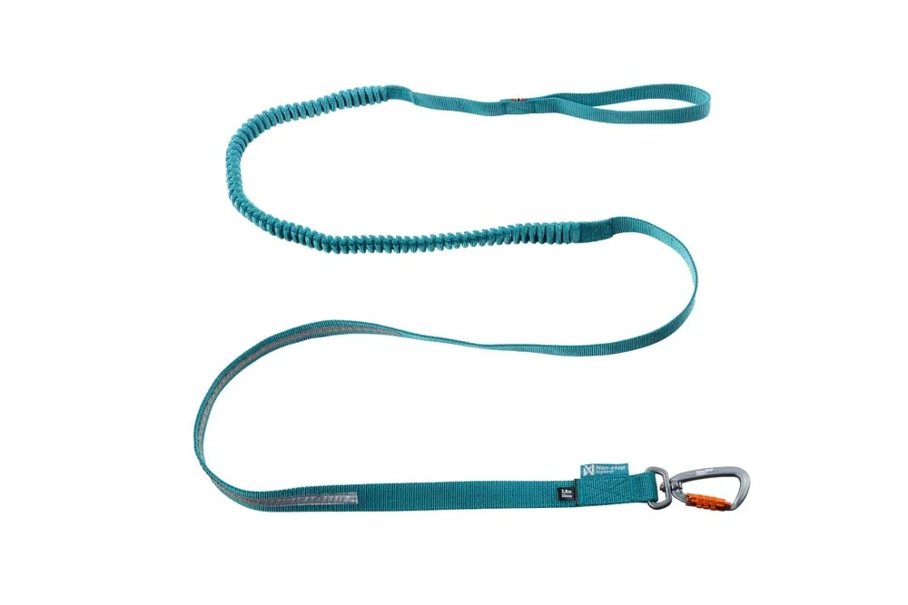 Non-stop Dogwear Touring Bungee Leash Teal v:3430103