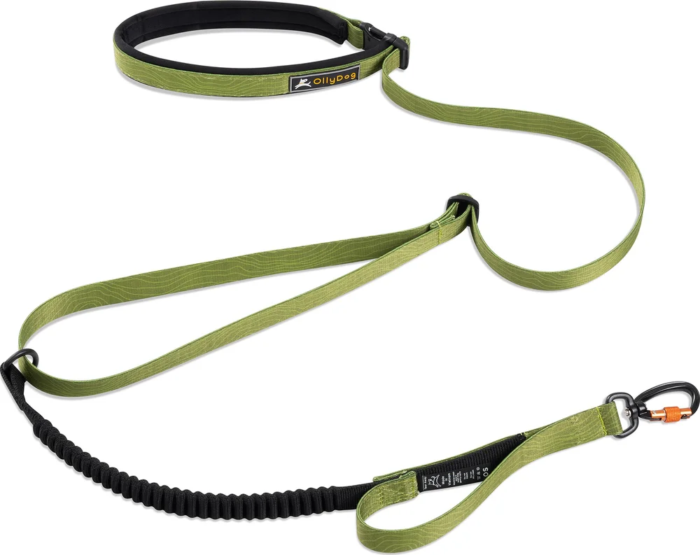 OllyDog Flagstaff Adjustable Spring Leash Cactus v:2807803