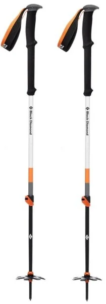 Expedition 2 Ski Poles v:6409528