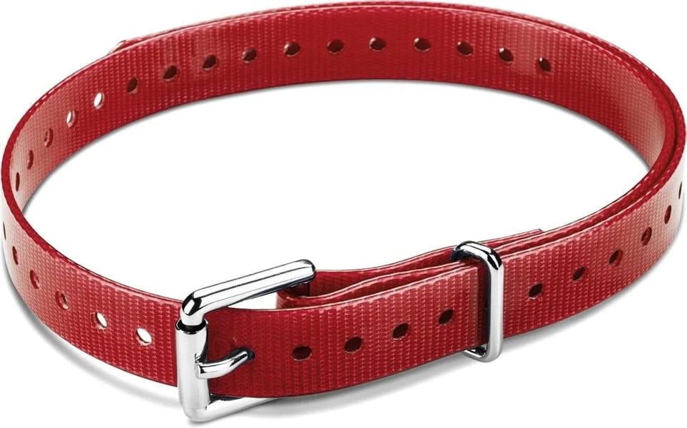 Halsband T5 mini – Rött (rullspänne) v:6022213 Halsband T5 mini – Rött (rullspänne) v:6022213
