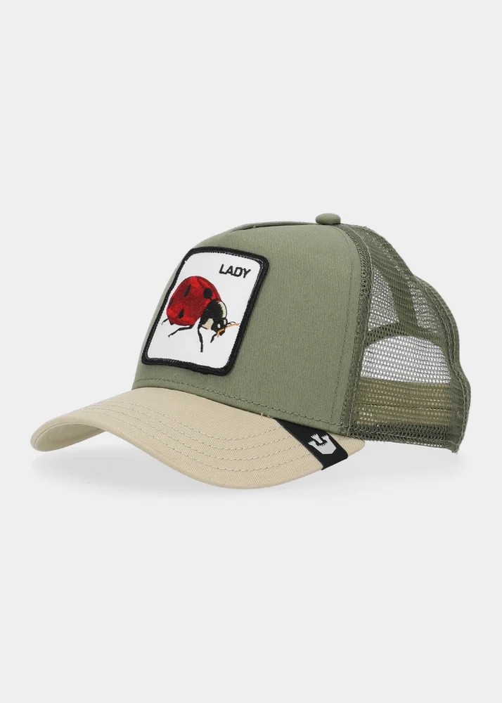 The lady bug v:2973127