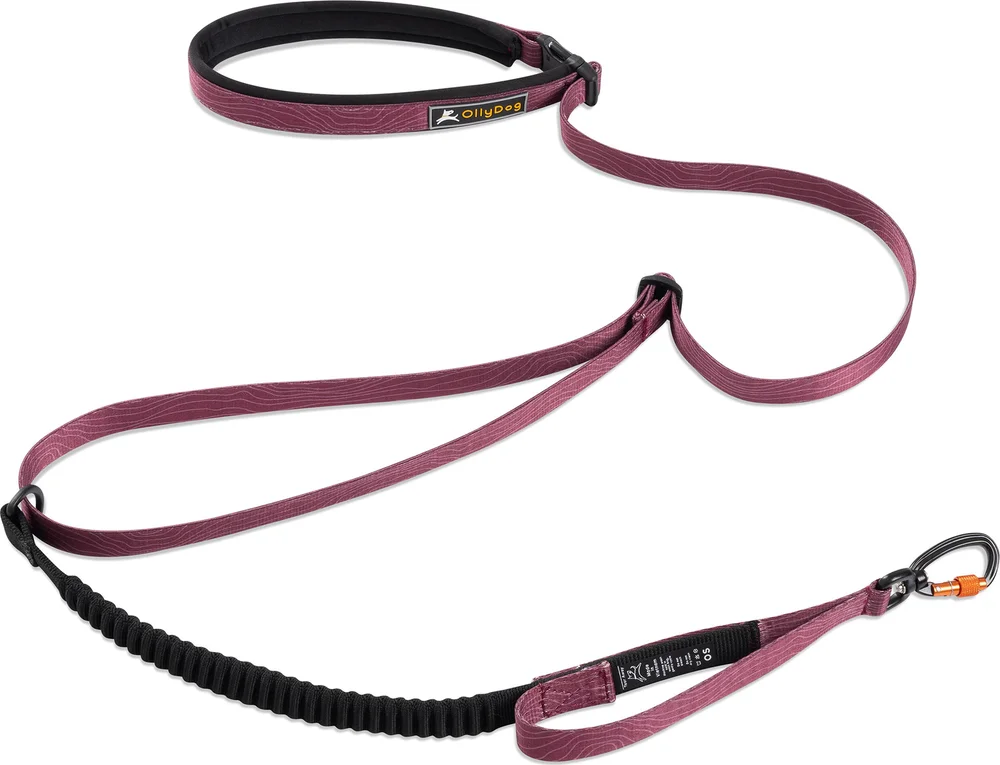 OllyDog Flagstaff Adjustable Spring Leash Dream Camo v:1114251 OllyDog Flagstaff Adjustable Spring Leash Dream Camo v:1114251