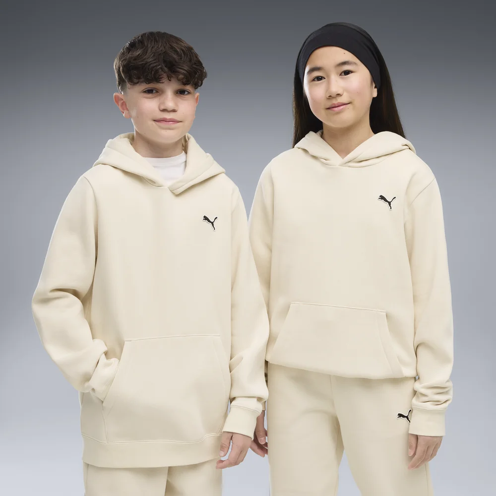 ESS ELEVATED Hoodie FL v:2386600