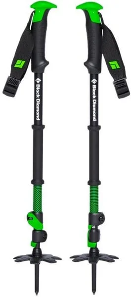 Traverse 3 Ski Poles v:8754005