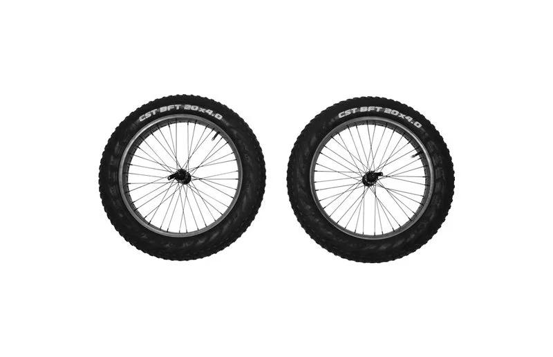 Thule Reacha 20″ Fat Tire Wheel Set v:9408725 Thule Reacha 20″ Fat Tire Wheel Set v:9408725