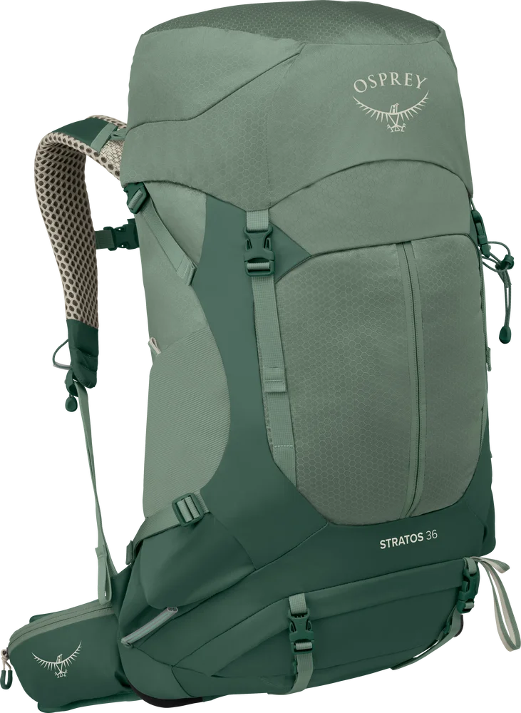 Osprey Men's Stratos 36 Pine Leaf Green v:4783371