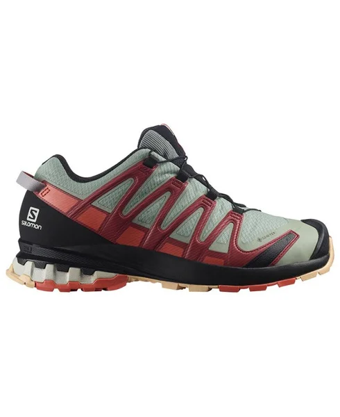 XA PRO 3D v8 GTX Ws Wrought Iron/Burnt Sienna/Biking Red v:7920216