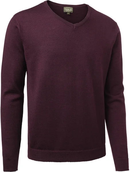 Gart Merino Sweater VN Men Purple v:6784064